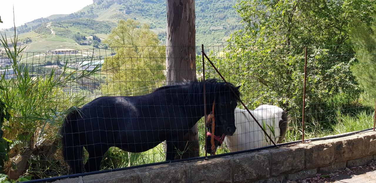 B&B - Affittacamere Da Pietro - Έννα Εξωτερικό φωτογραφία